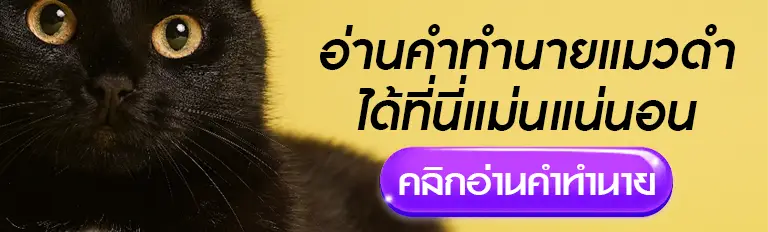 อ่านคำทำนายแมวดำได้ที่นี่แม่นแน่นอน